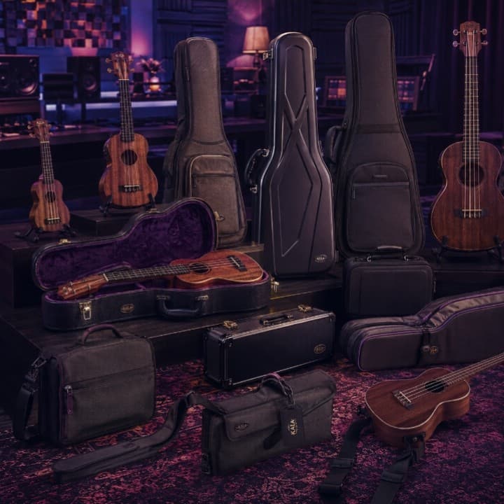 Cases & Gig Bags