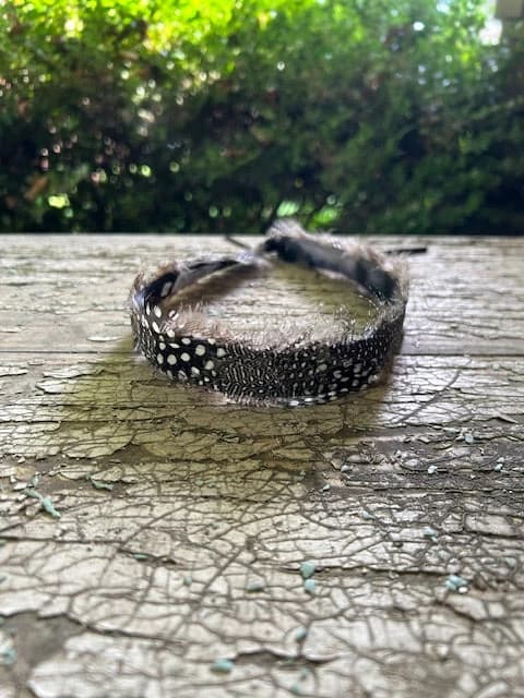 Birch Feather Hat Band